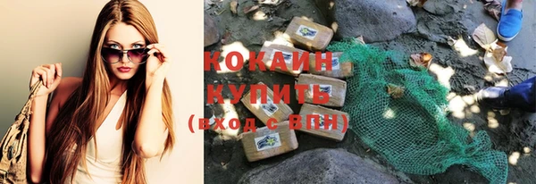 молекула духа Майский